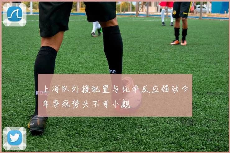 上海队外援配置与化学反应强劲今年争冠势头不可小觑